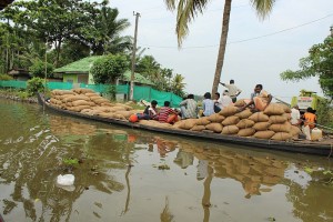 Die Backwaters, ein überwiegend natürliches System aus Kanälen, Flüssen und Seen welches sich durch ganz Kerala zieht. Hier sind Reishändler bei der Arbeit.